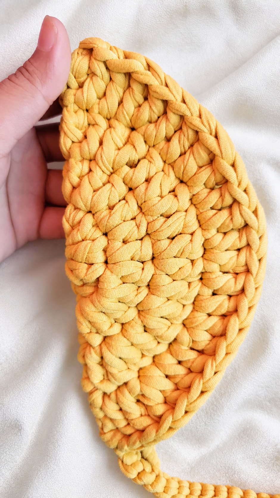 Crochet Glasses Cover